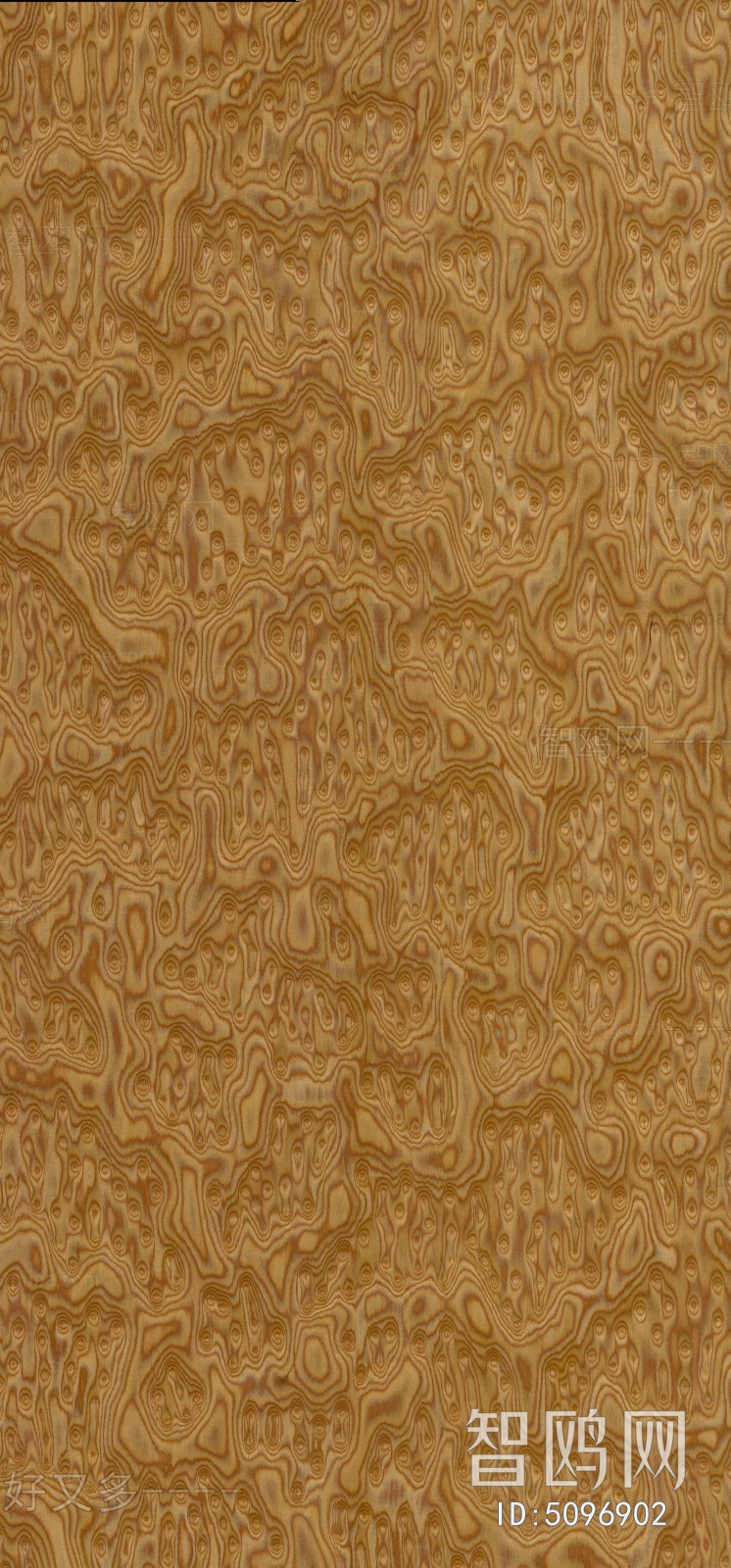 Wood Texture