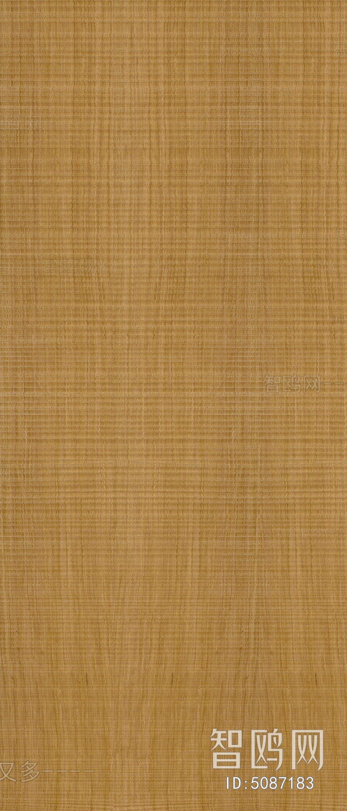 Wood Texture