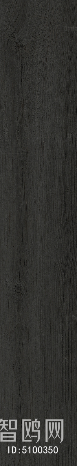 Wood Texture