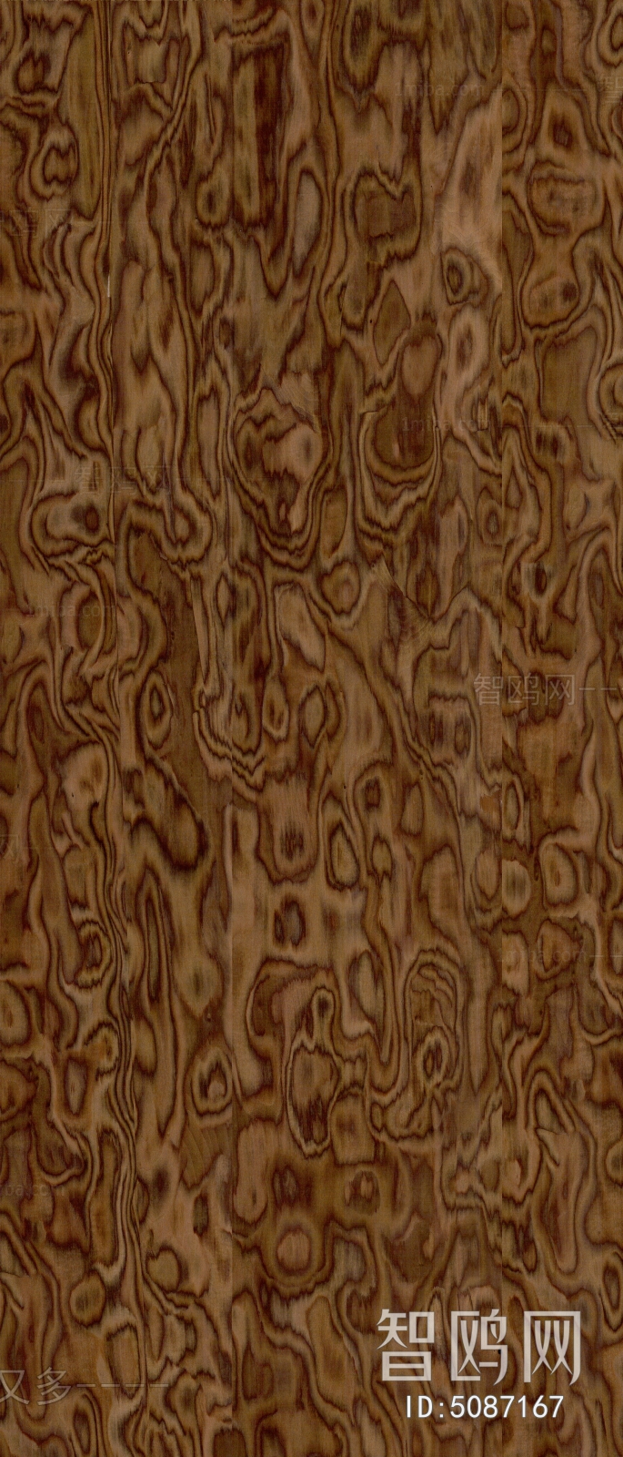 Wood Texture