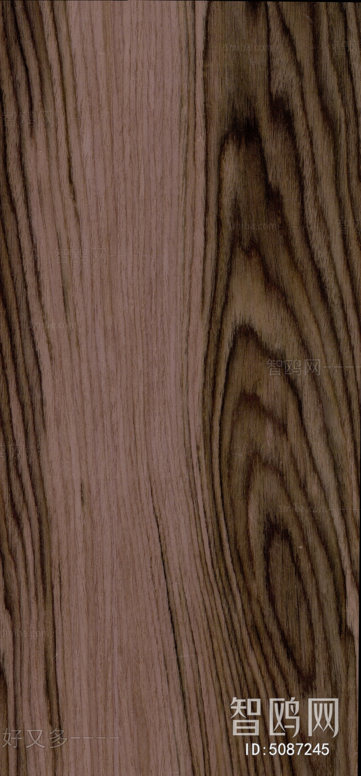 Wood Texture