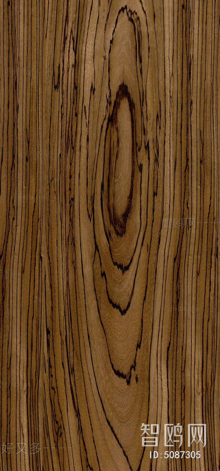 Wood Texture