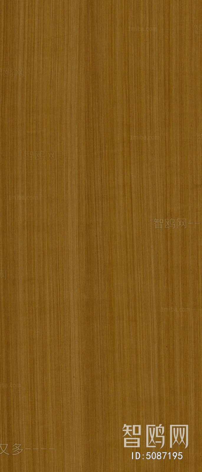 Wood Texture