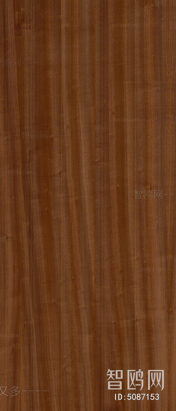 Wood Texture