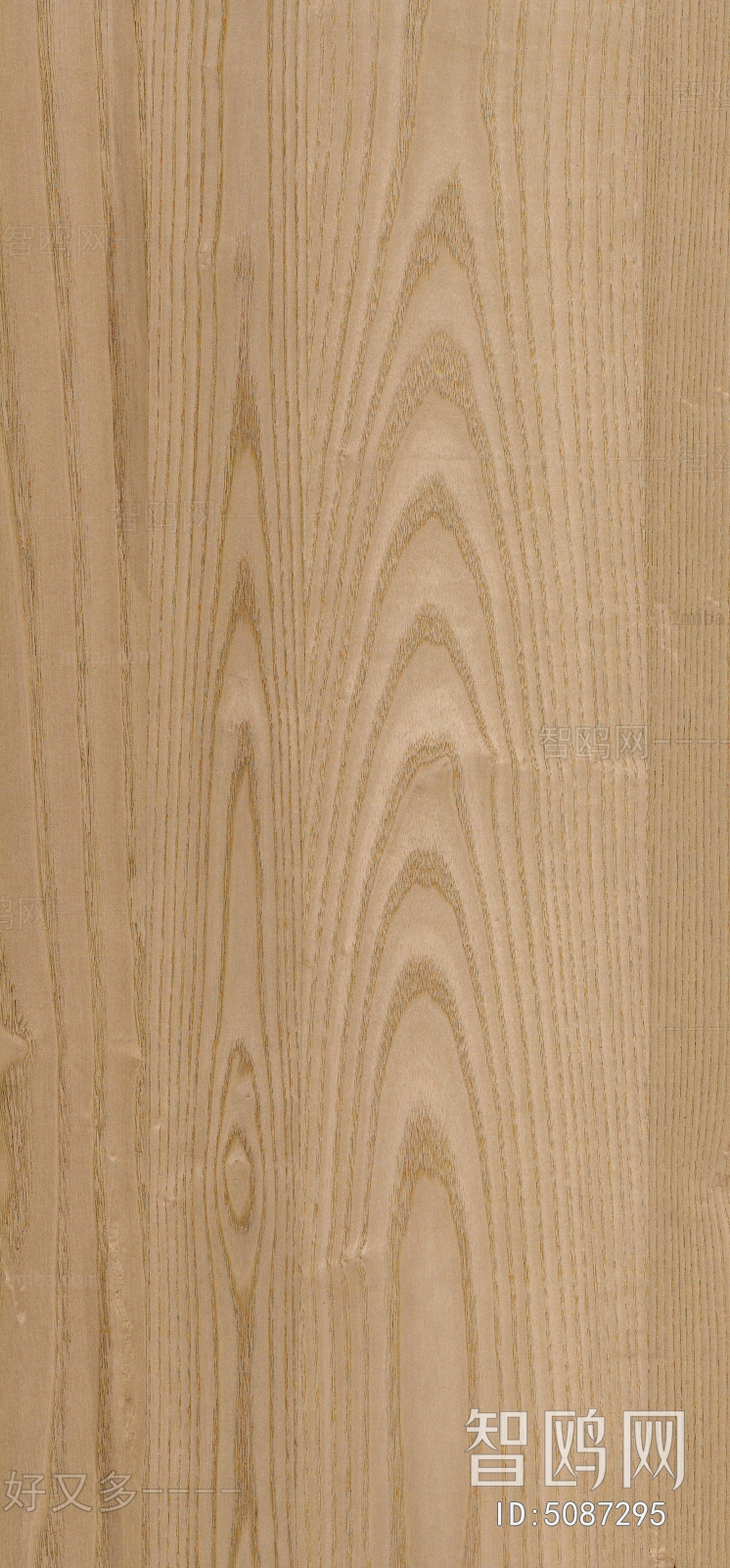 Wood Texture