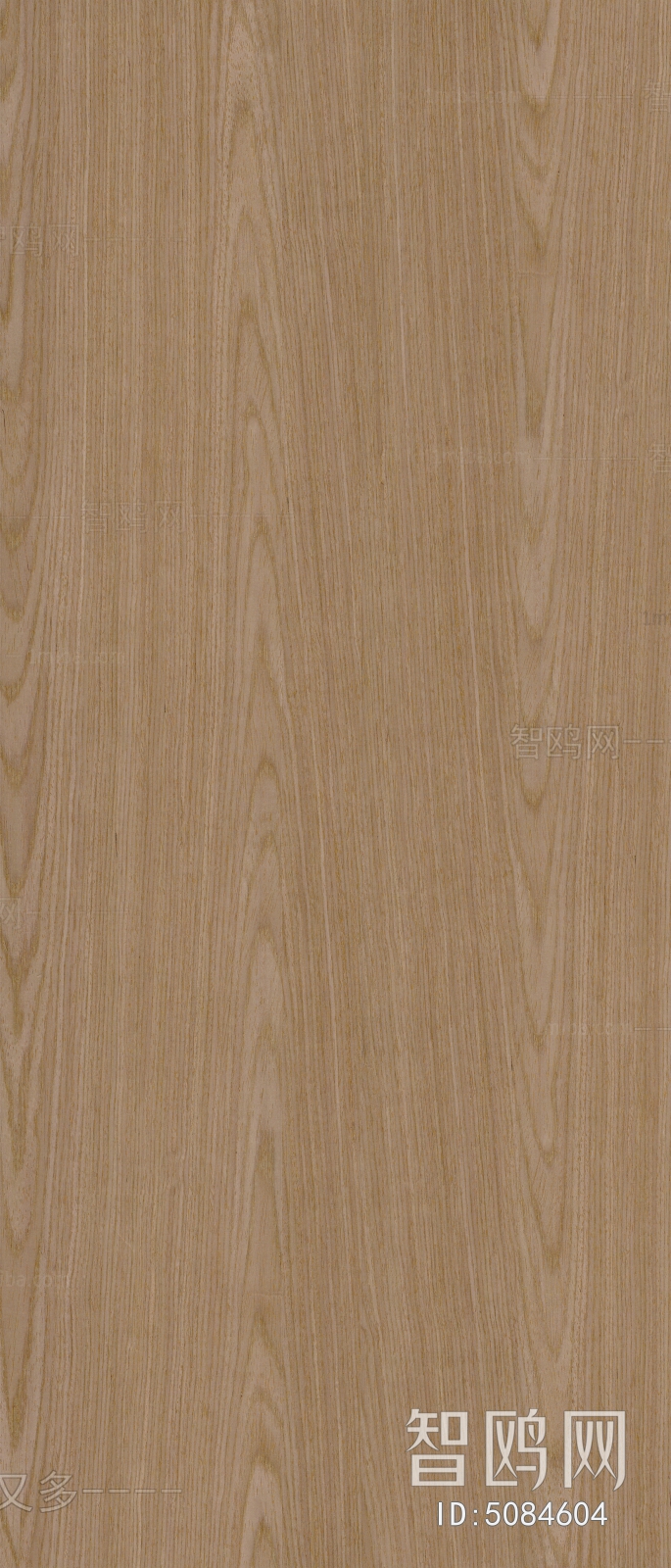 Wood Texture