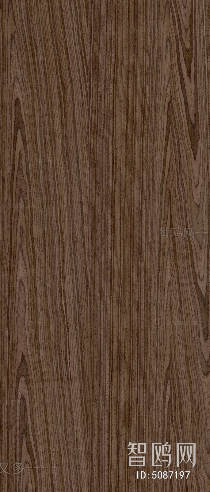 Wood Texture