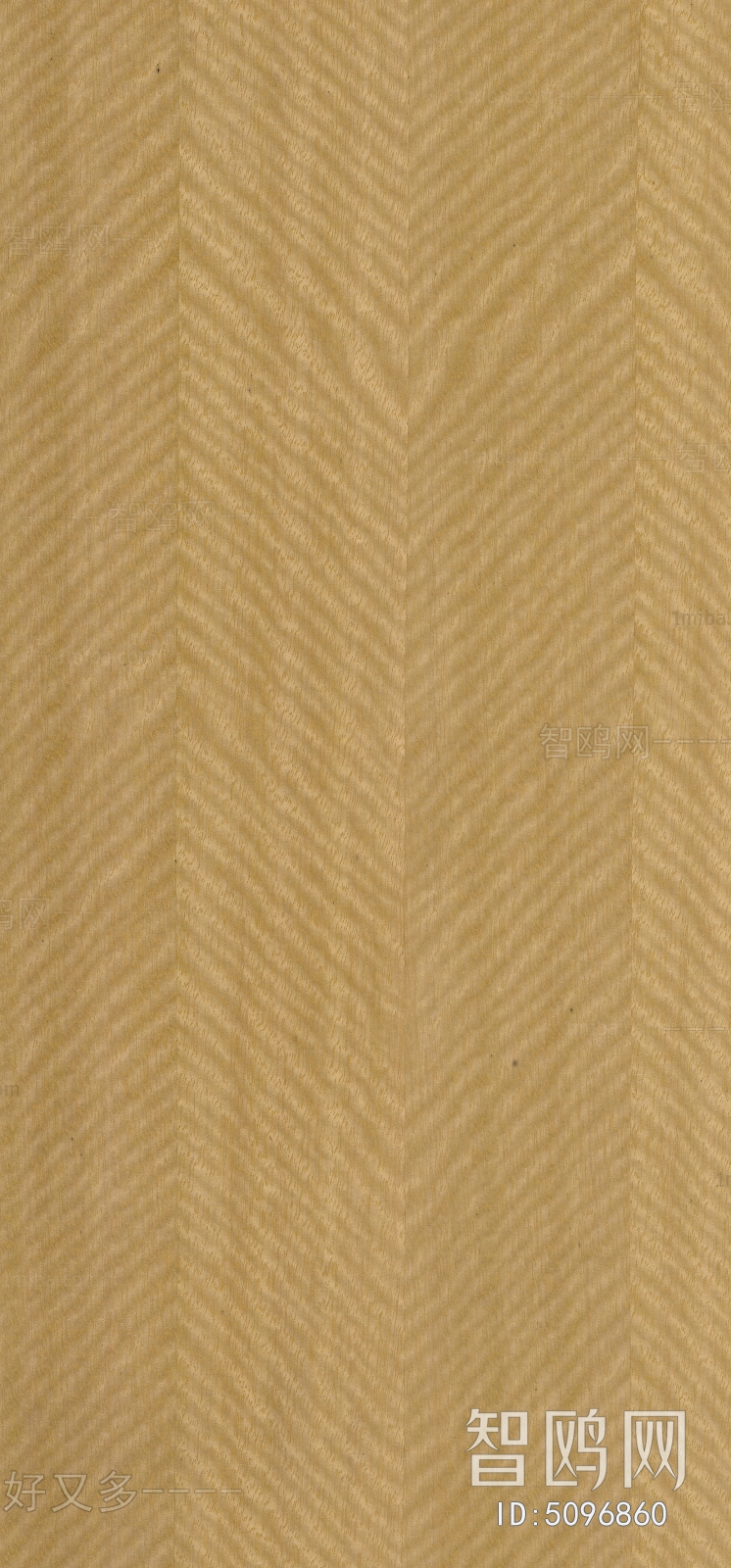 Wood Texture