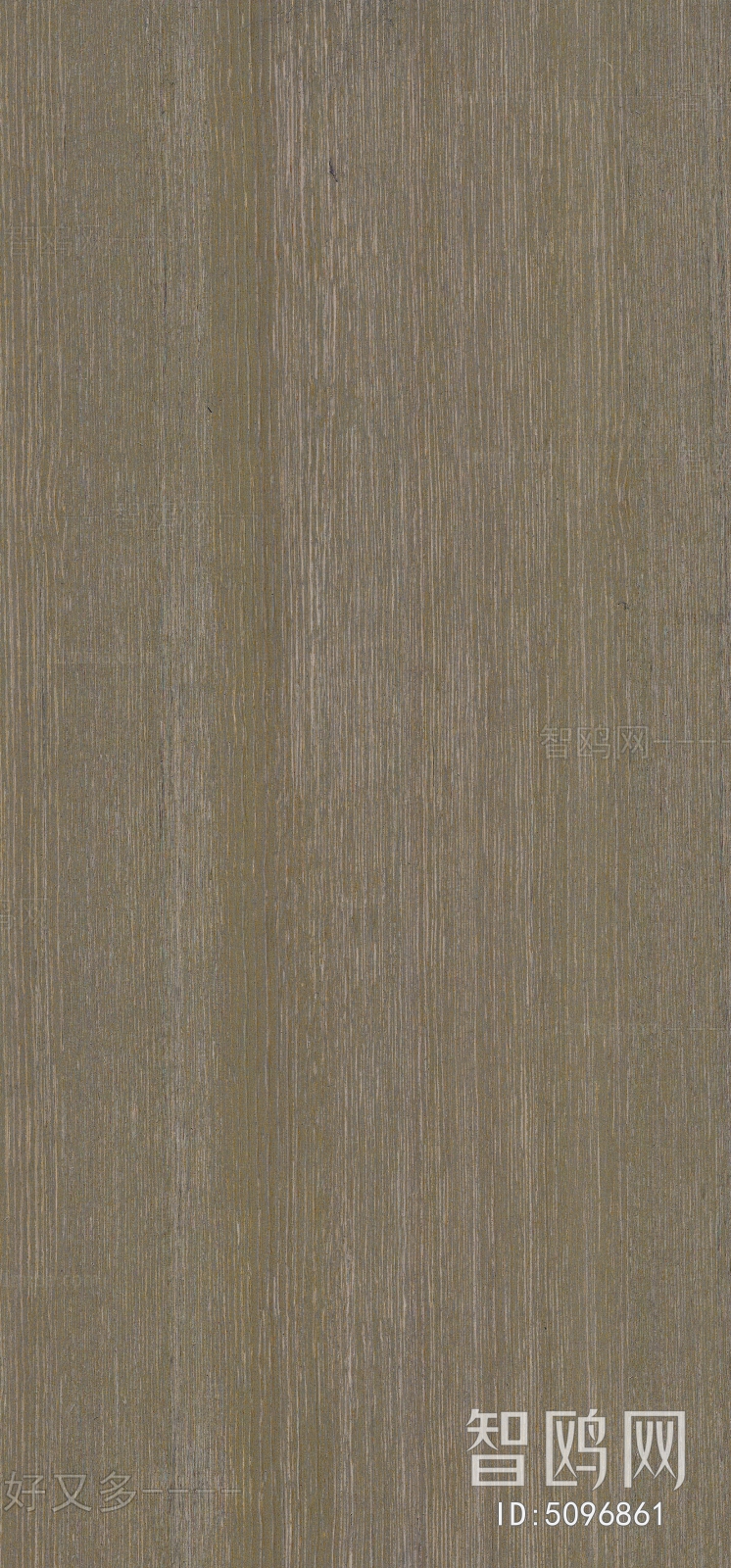 Wood Texture