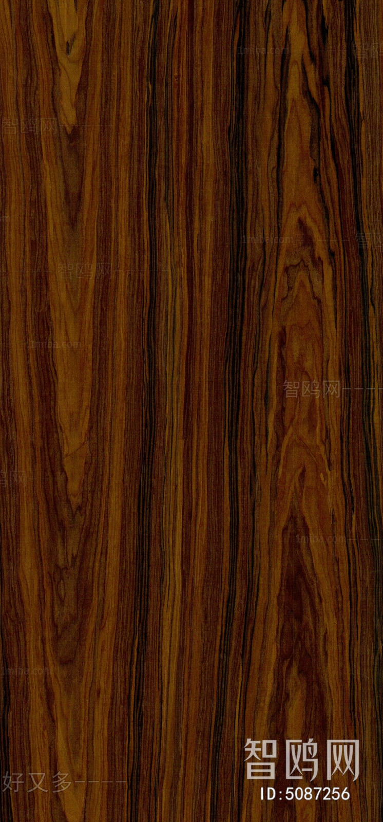 Wood Texture