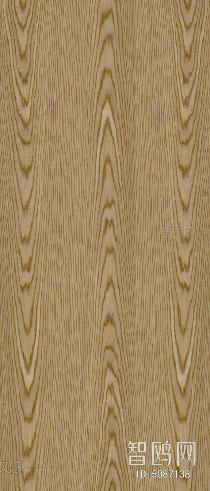 Wood Texture