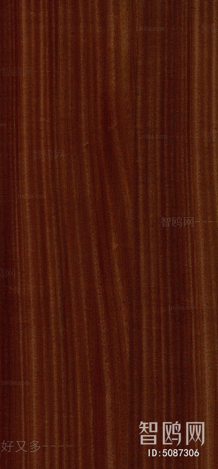 Wood Texture