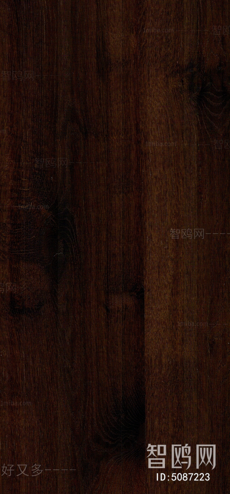 Wood Texture