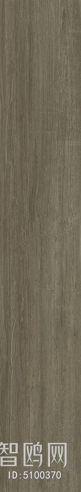 Wood Texture