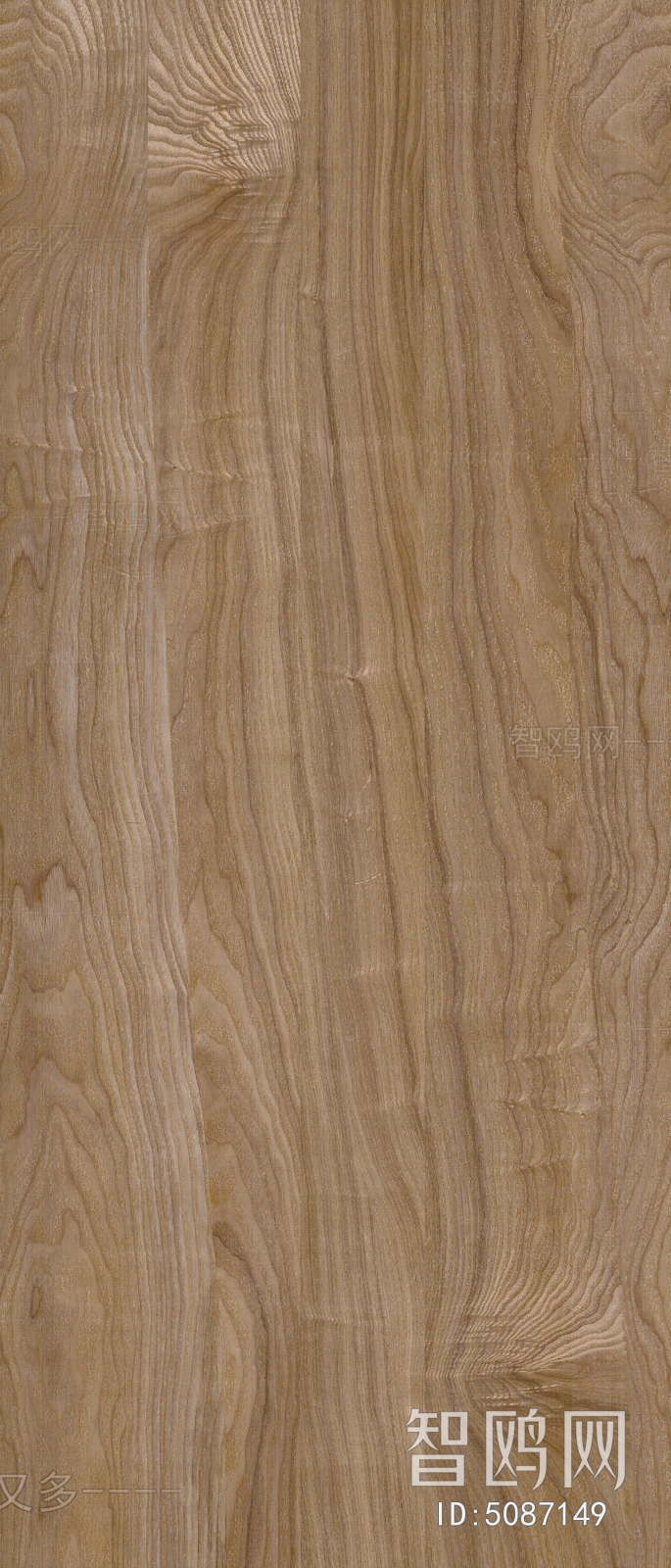 Wood Texture