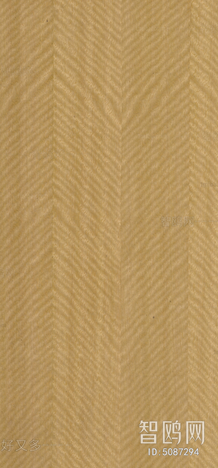 Wood Texture