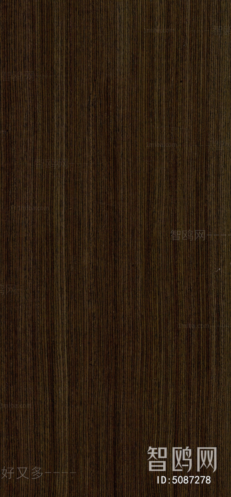 Wood Texture