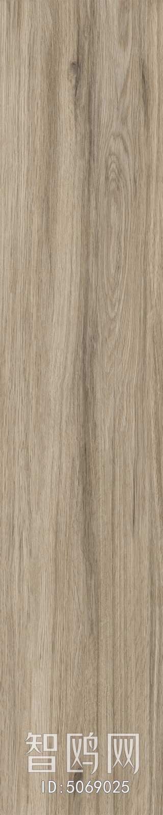 Wood Texture