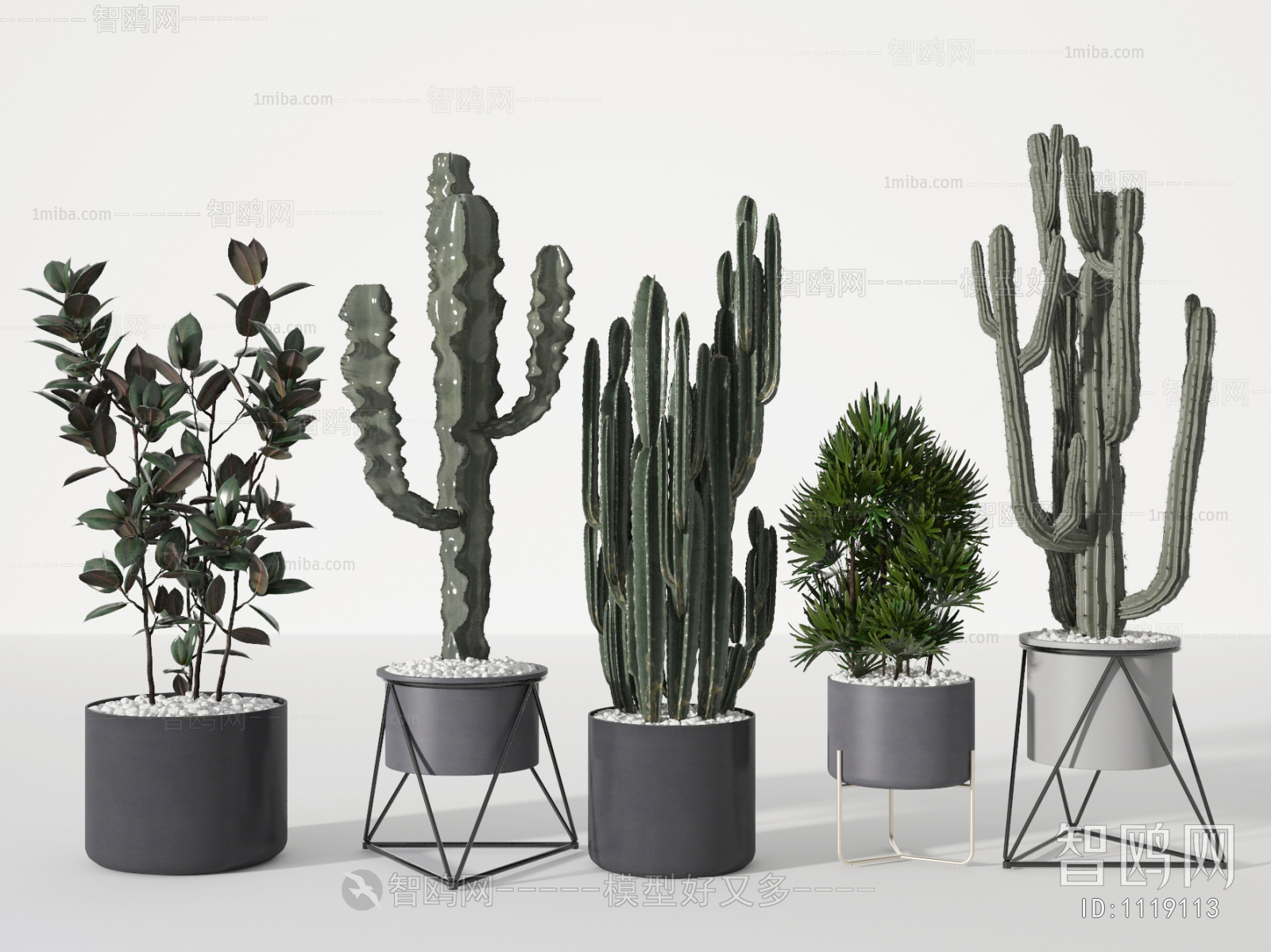 Modern Potted Green Plant