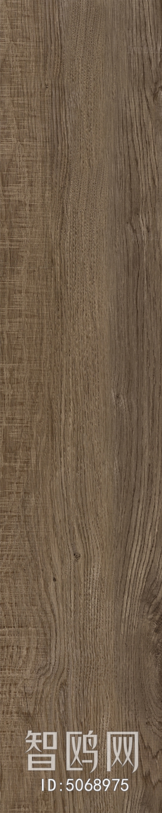 Wood Texture