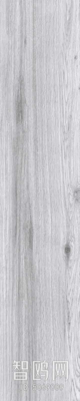 Wood Texture