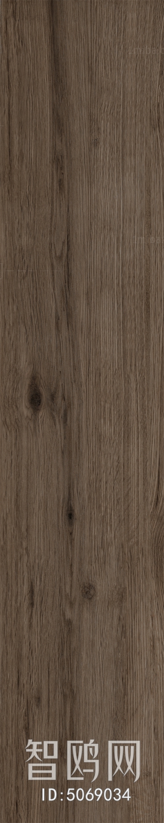 Wood Texture