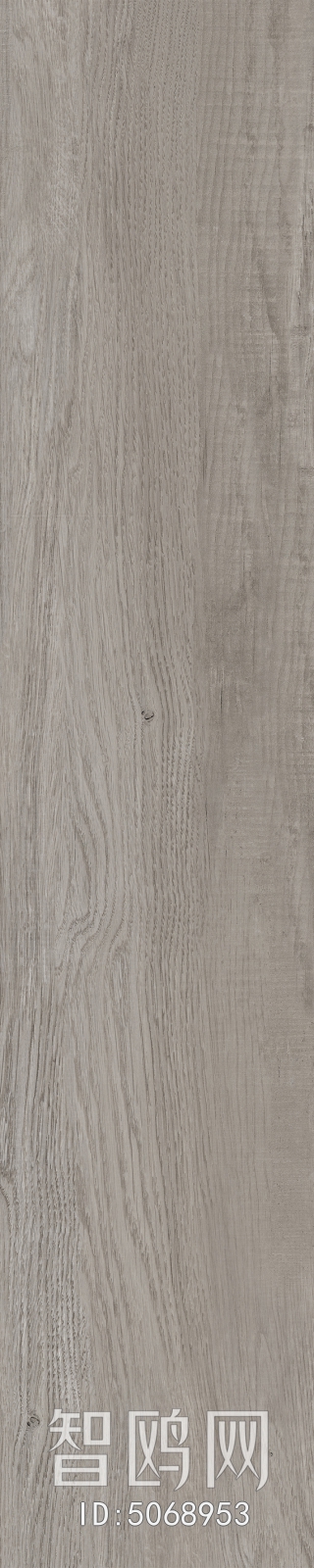 Wood Texture