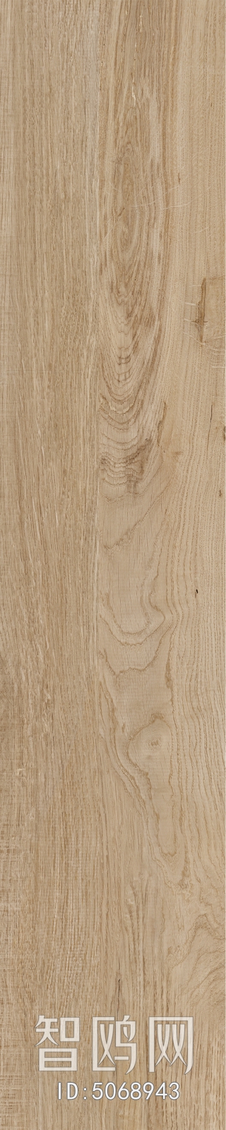 Wood Texture