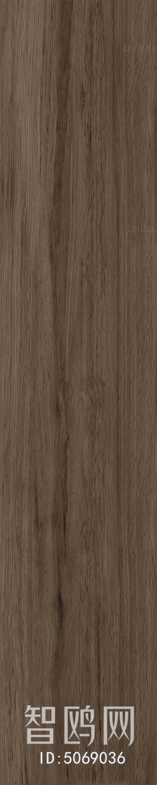 Wood Texture