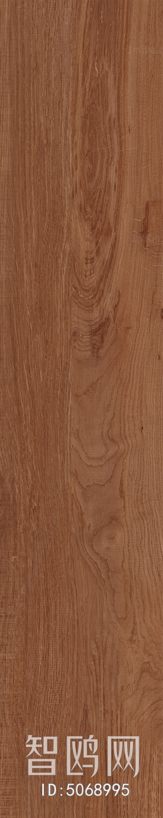 Wood Texture