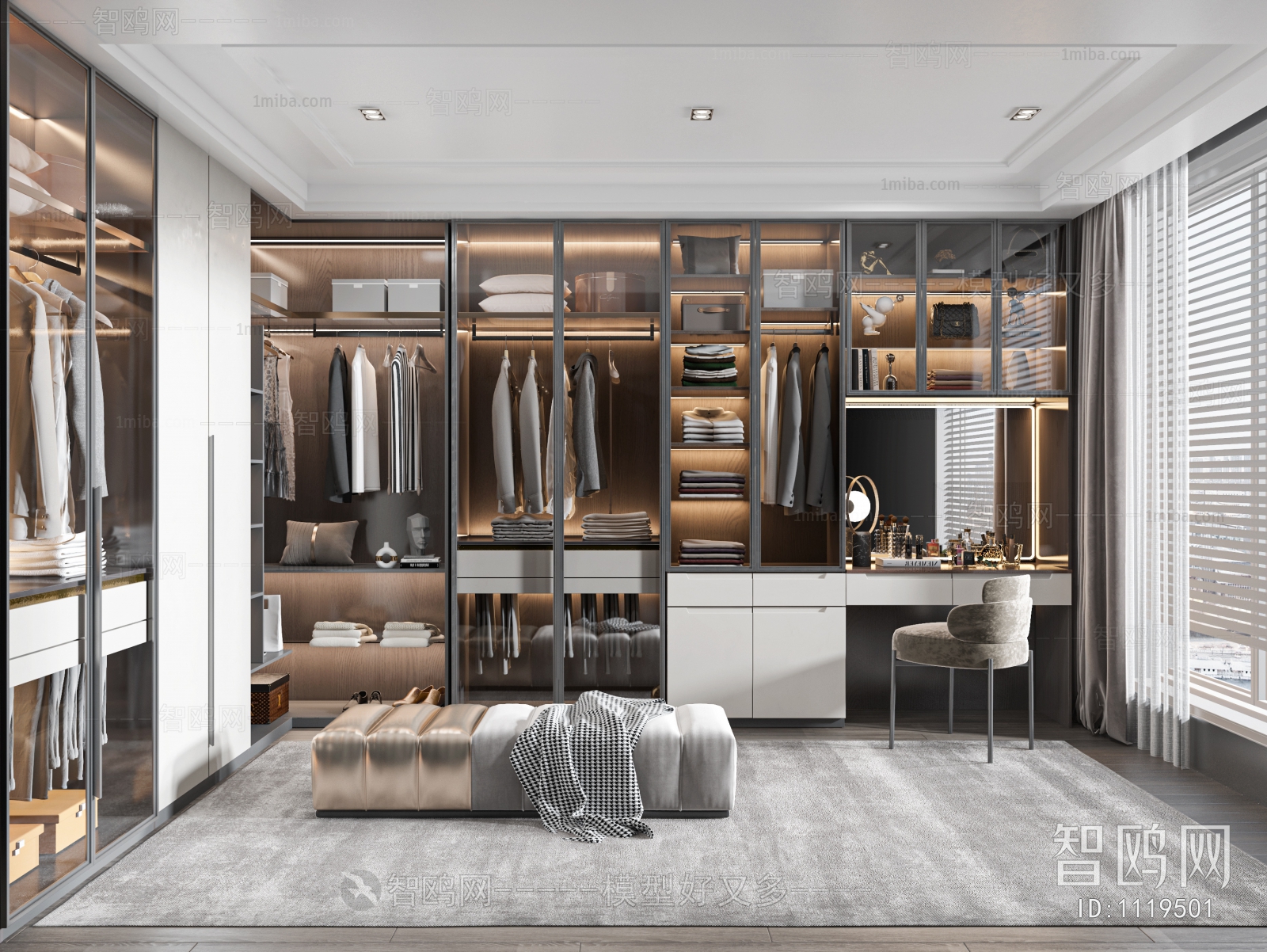 Modern Clothes Storage Area