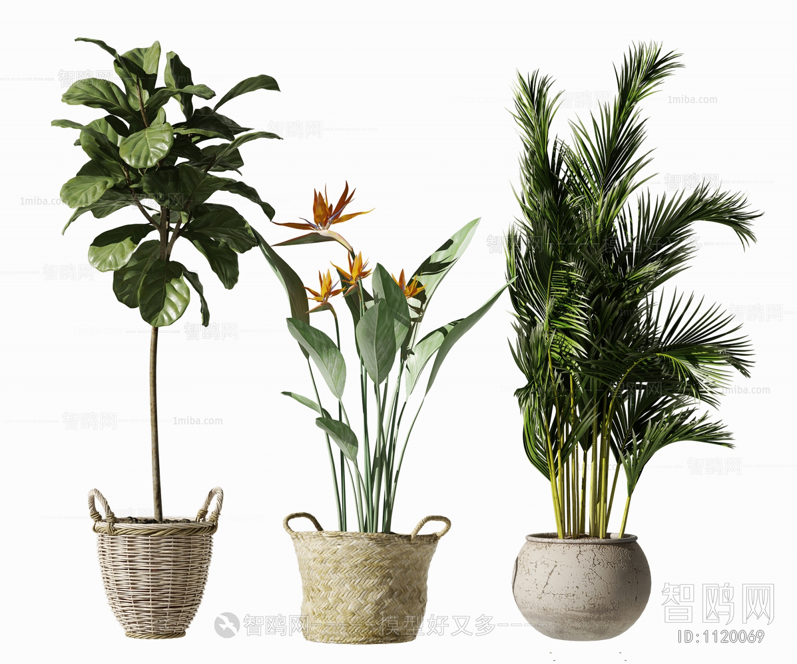 Modern Potted Green Plant