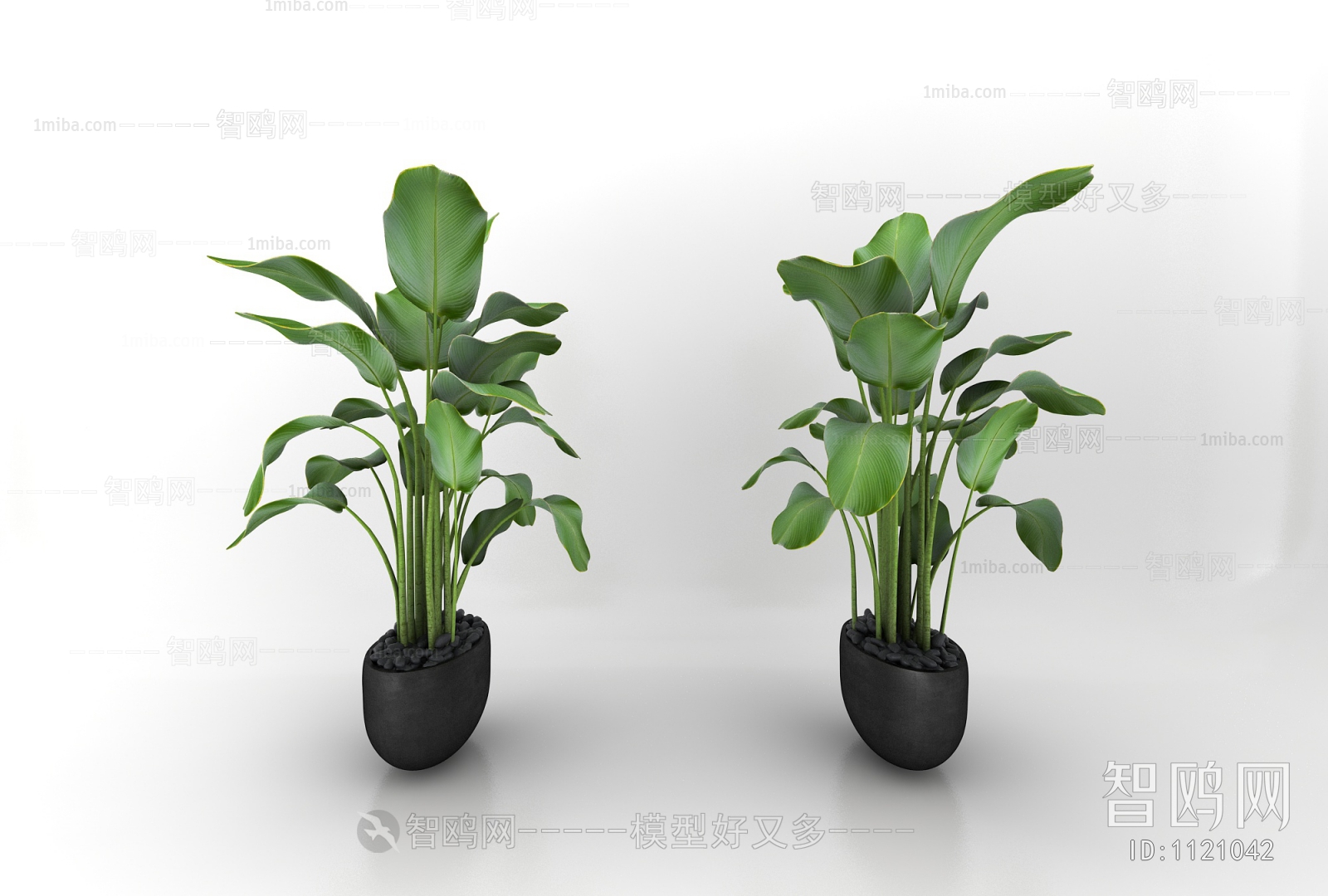 Modern Potted Green Plant