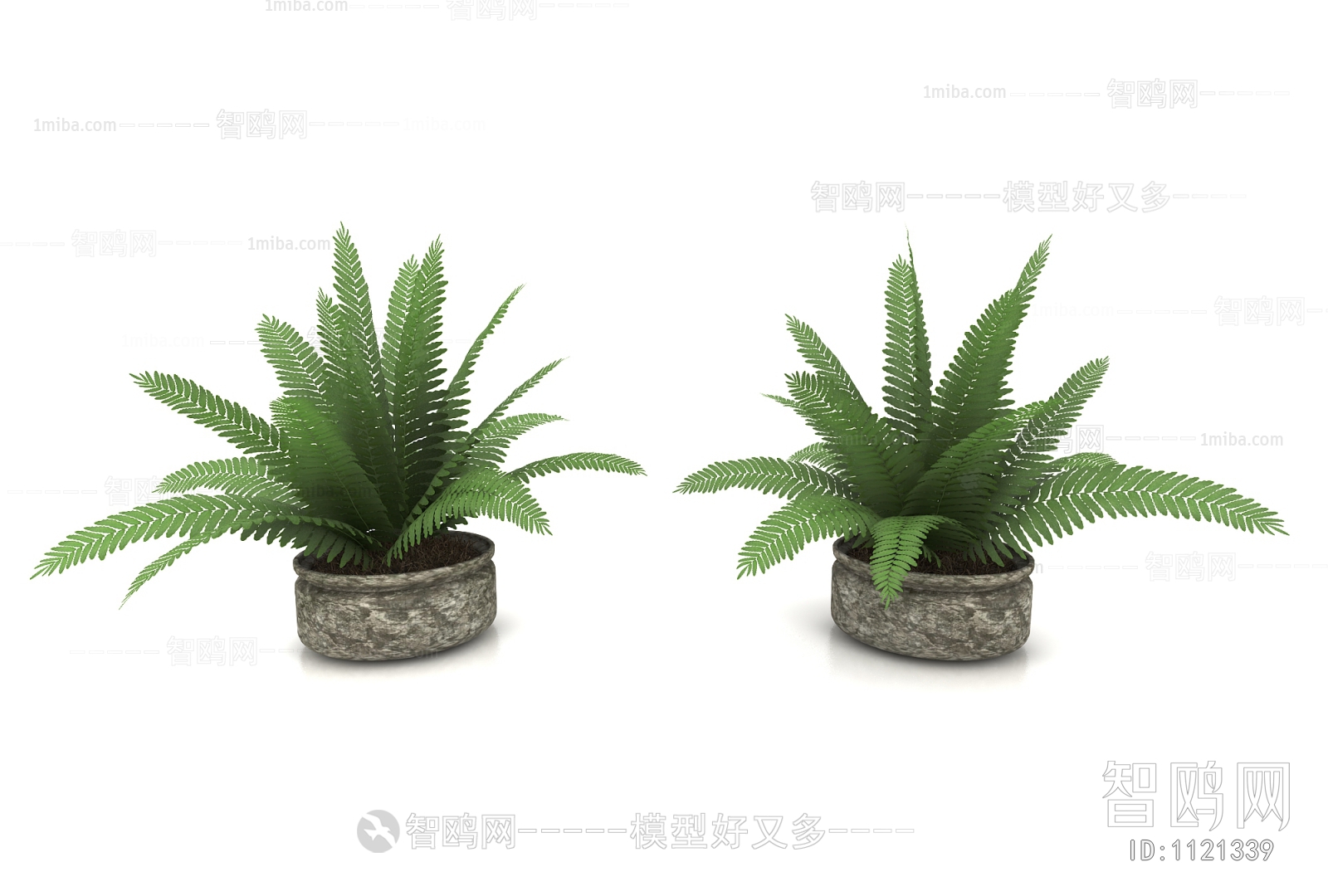 Modern Potted Green Plant