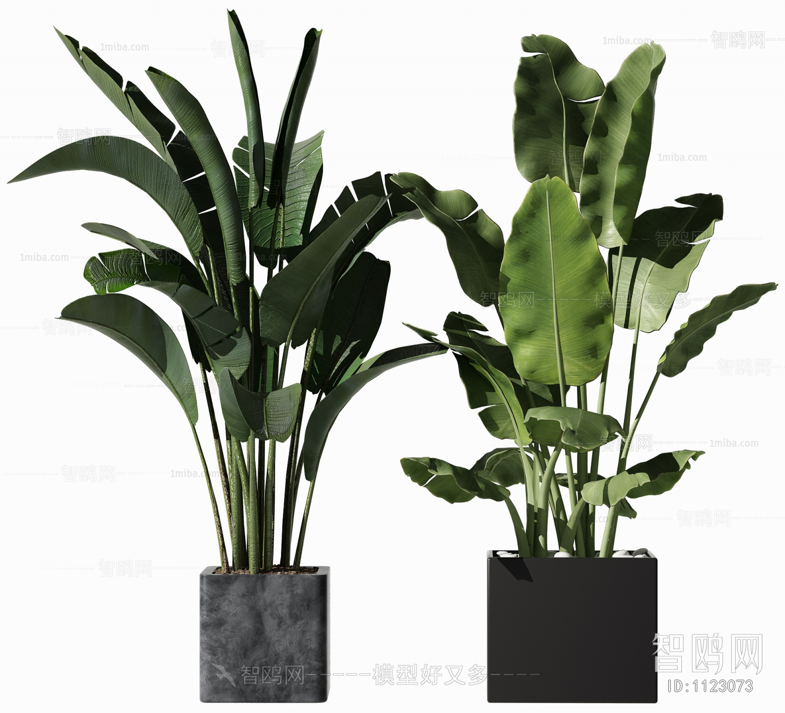 Modern Potted Green Plant