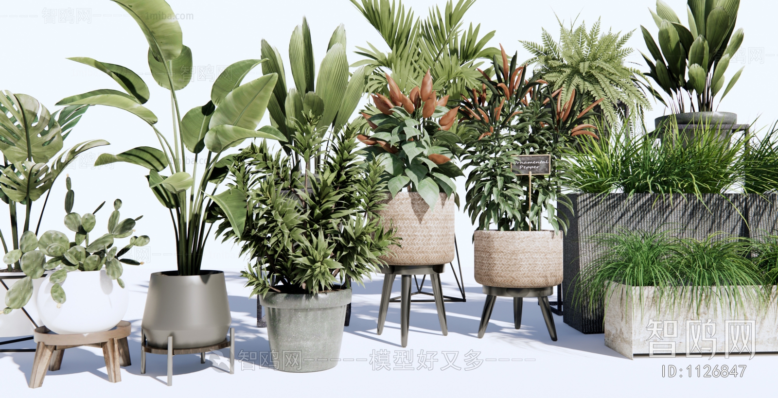 Modern Potted Green Plant