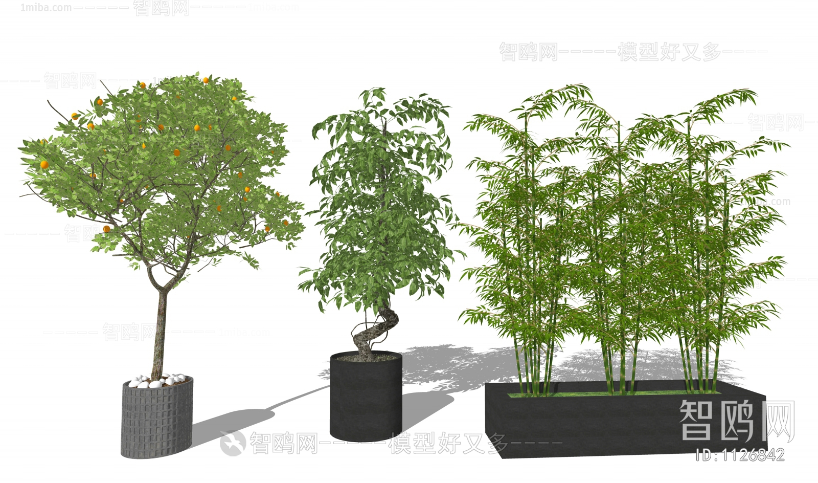 现代户外植物盆栽 竹子