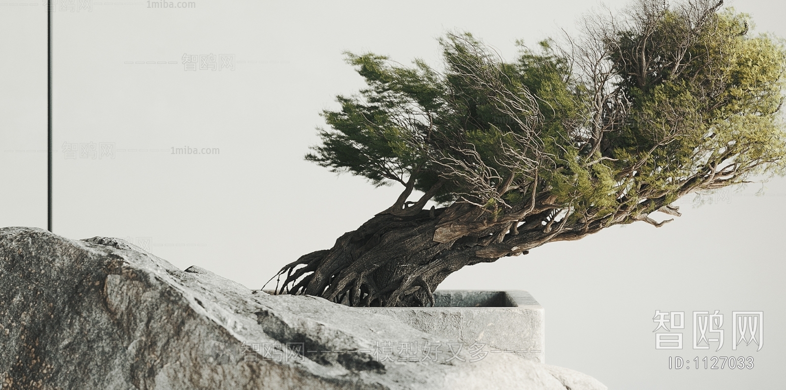 Modern Bonsai