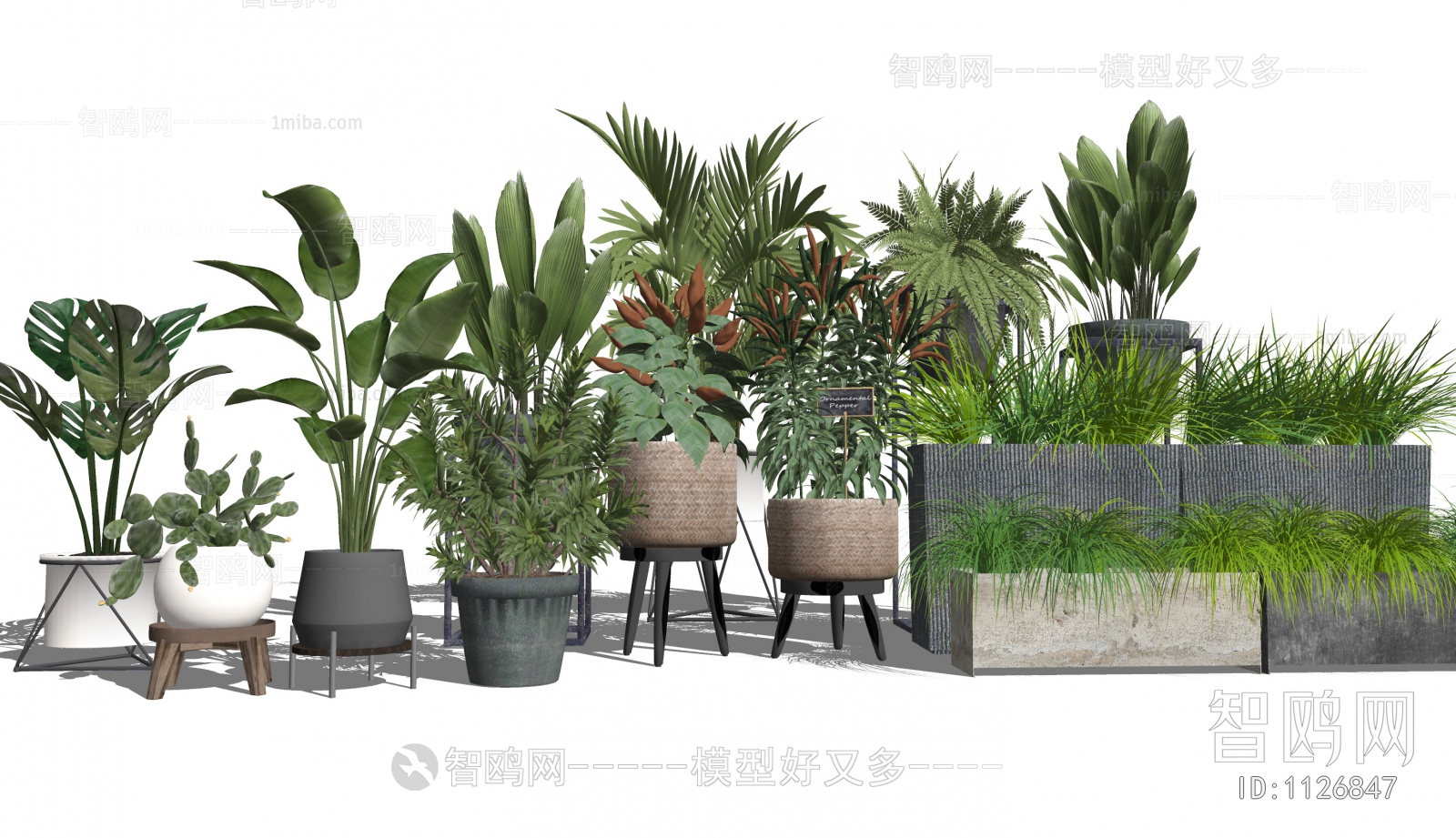 Modern Potted Green Plant