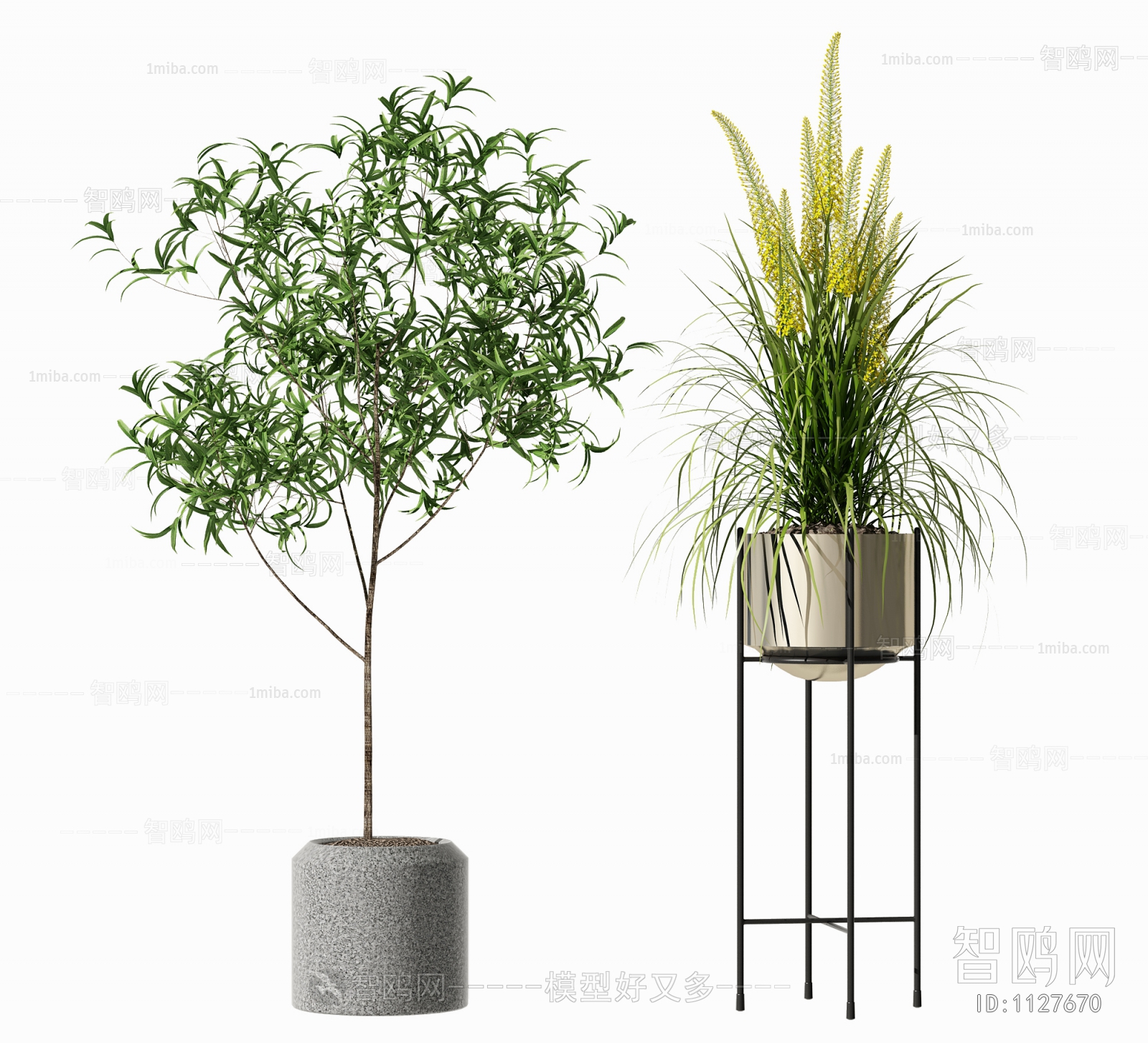 Modern Potted Green Plant