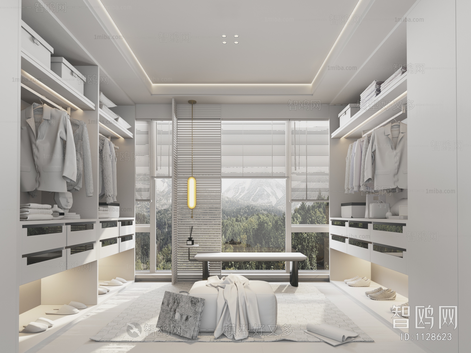 Modern Clothes Storage Area