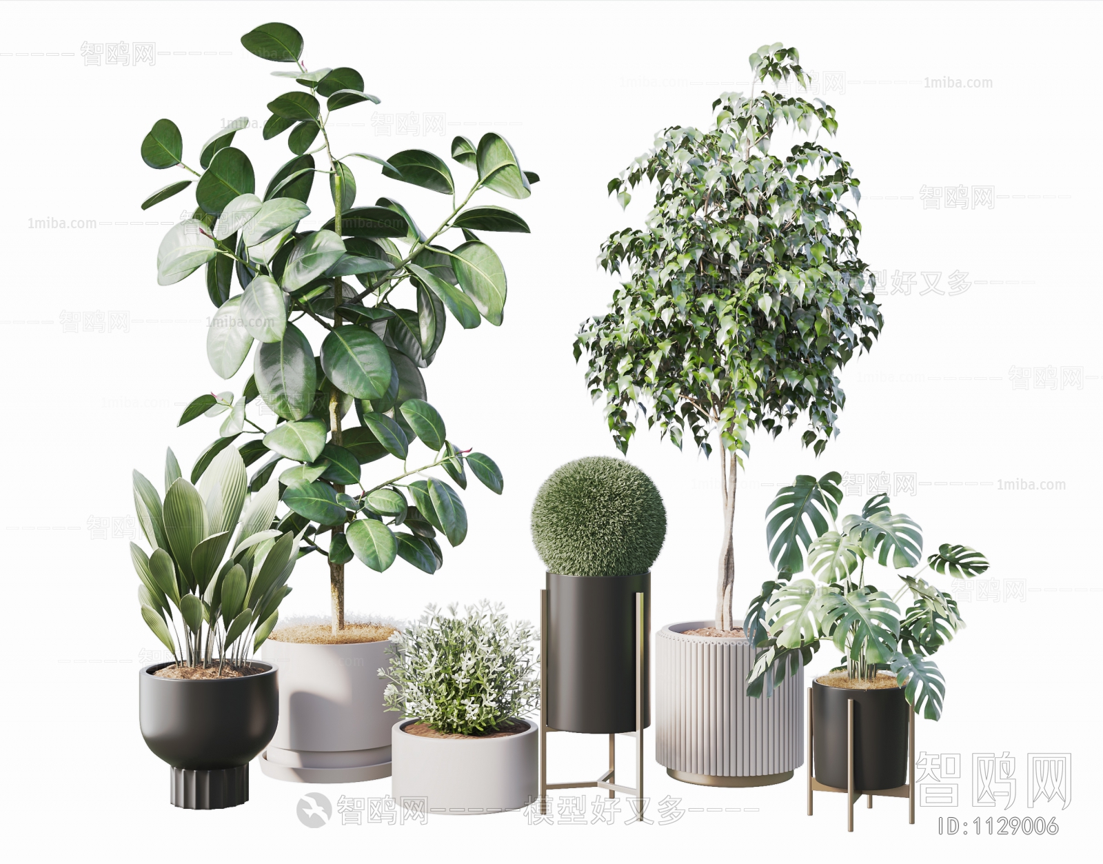 Modern Potted Green Plant