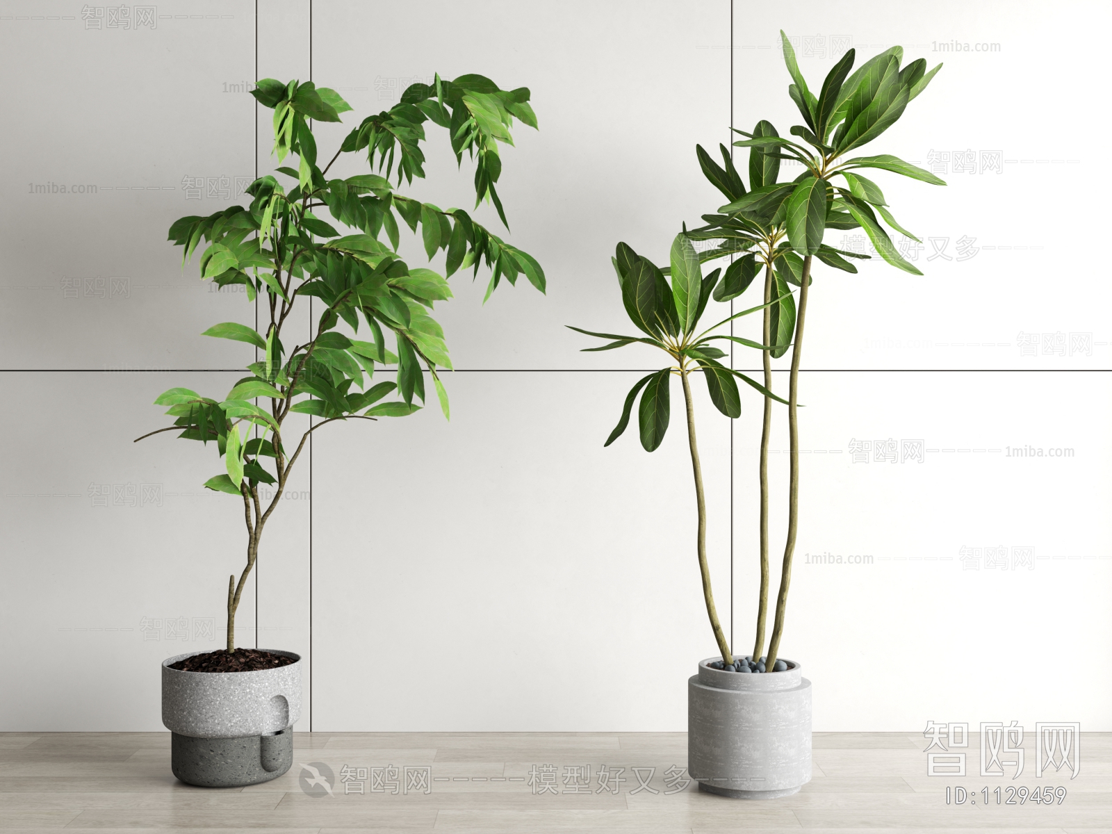 Modern Potted Green Plant