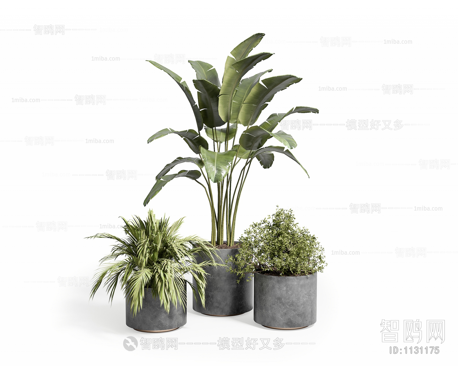 Modern Potted Green Plant