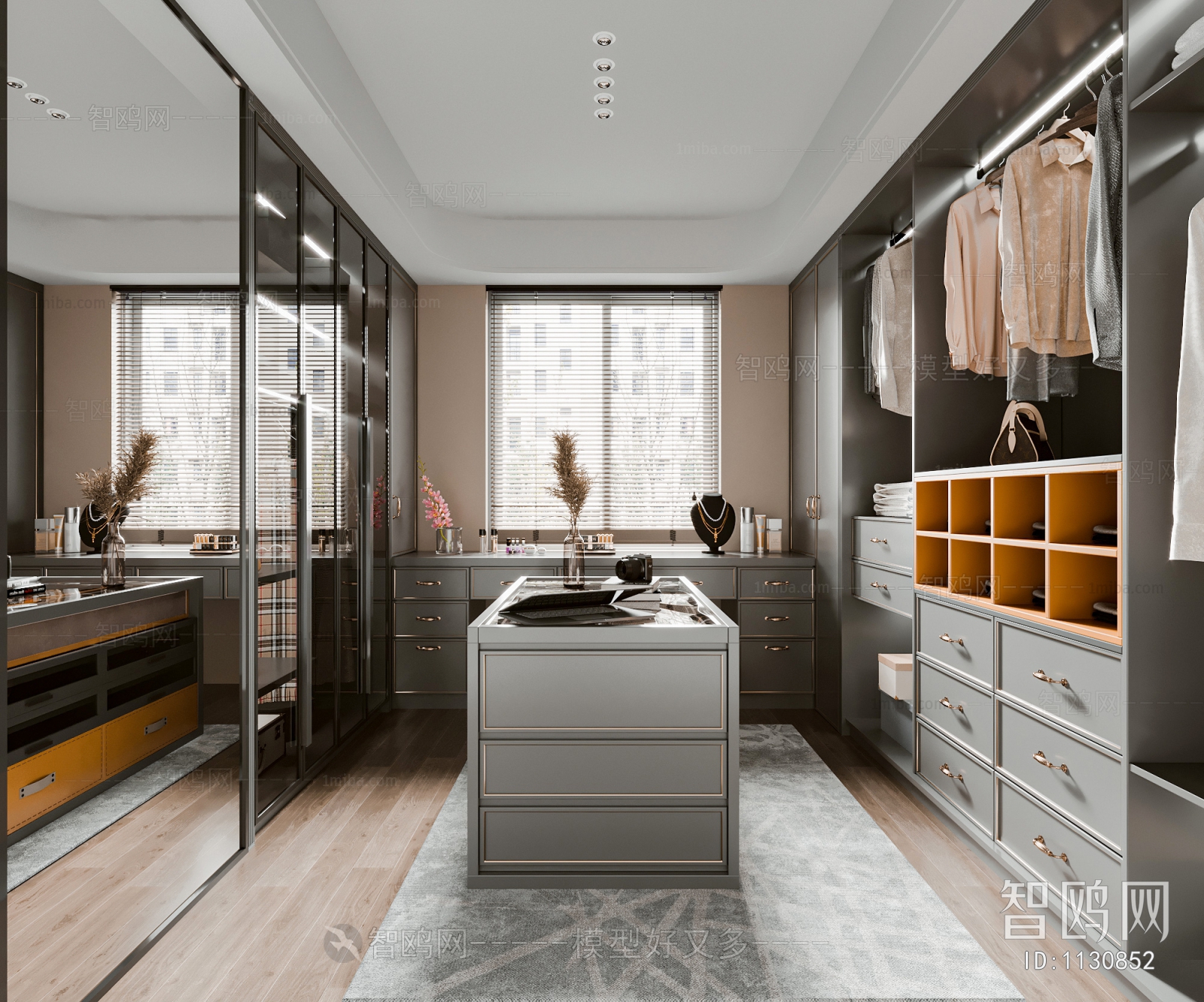 Modern Clothes Storage Area