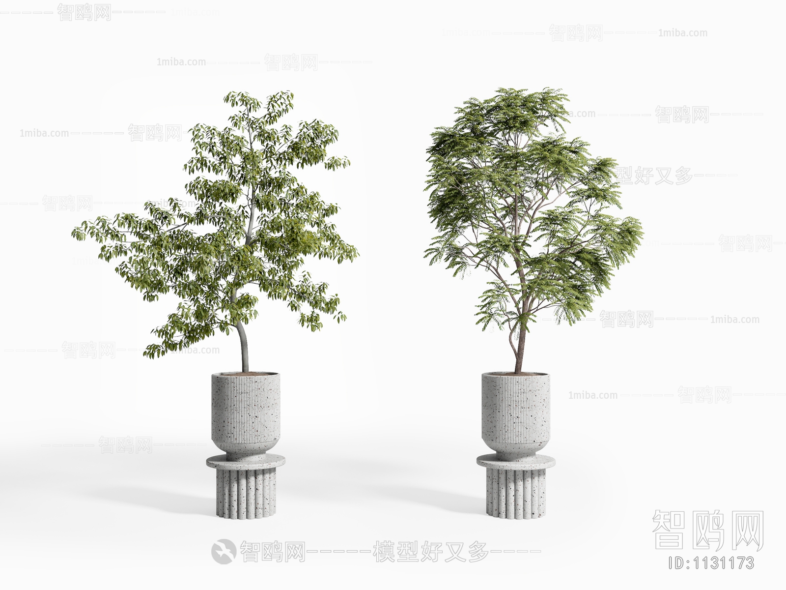 Modern Potted Green Plant