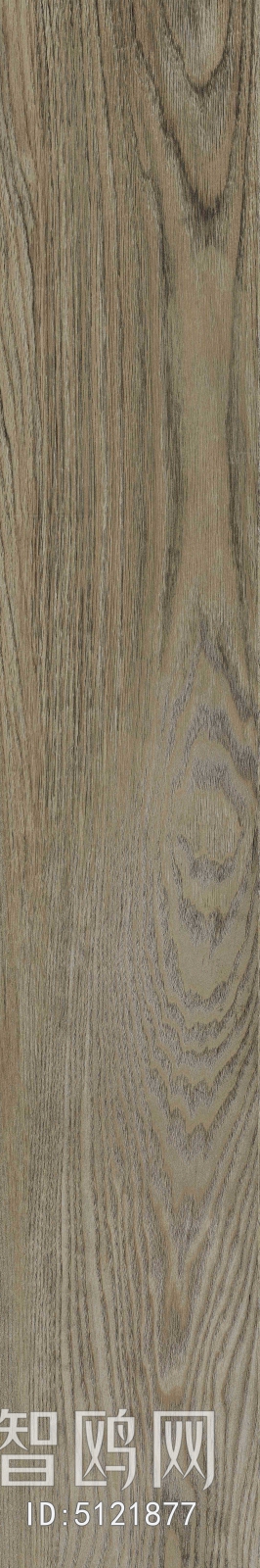 Wood Texture