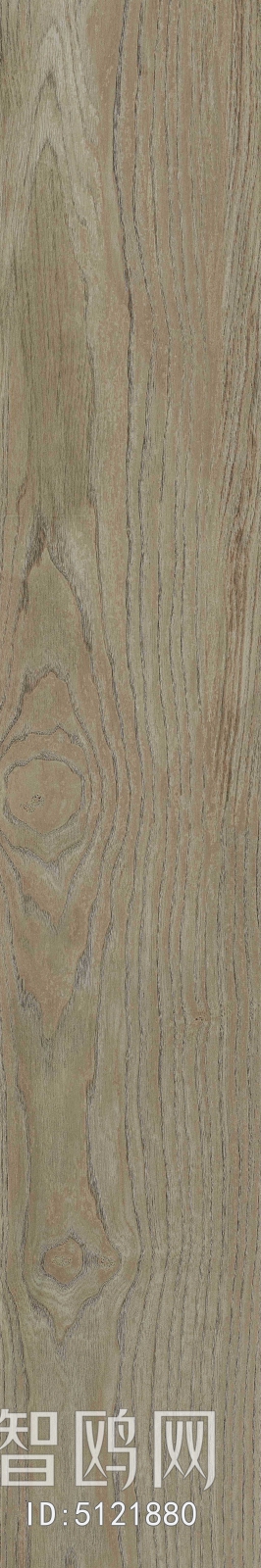 Wood Texture