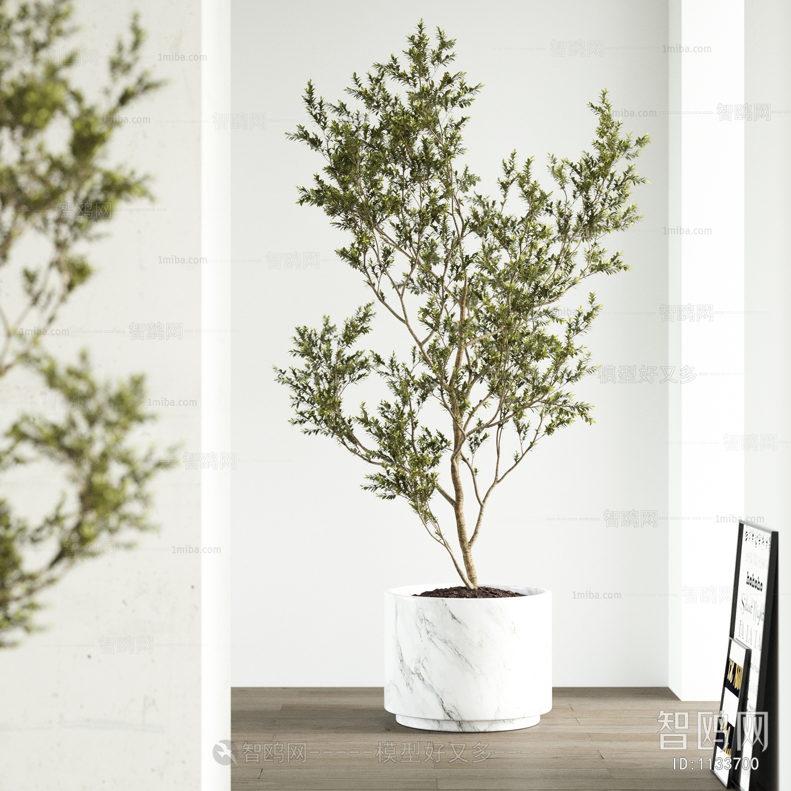 Modern Potted Green Plant