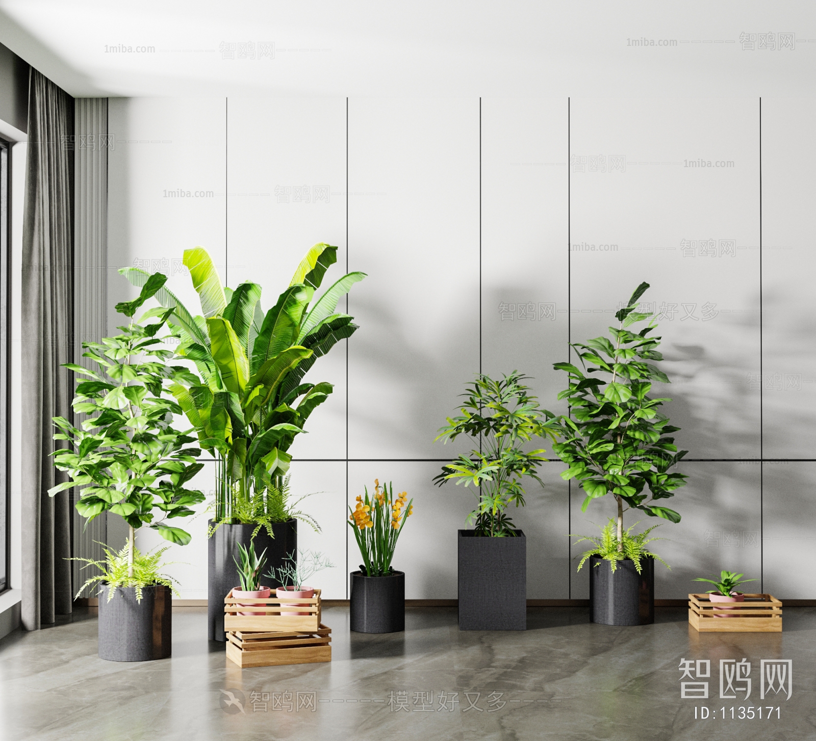 Modern Potted Green Plant